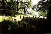 Widok oglny cmentarza.Lato 2003.