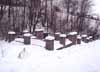 Widok oglny cmentarza. Zima 2001/2