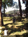 Obecny wygl�d wn�trza cmentarza. Lato 2001 r.